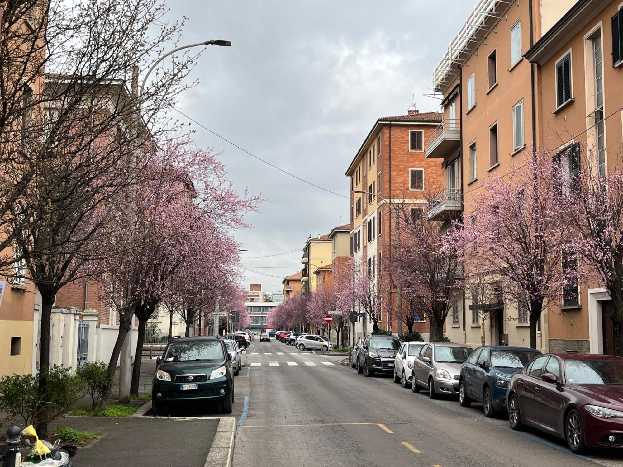 Apartamento Casa Meli, Ampio Bilocale Nuovo Bolonia Exterior foto